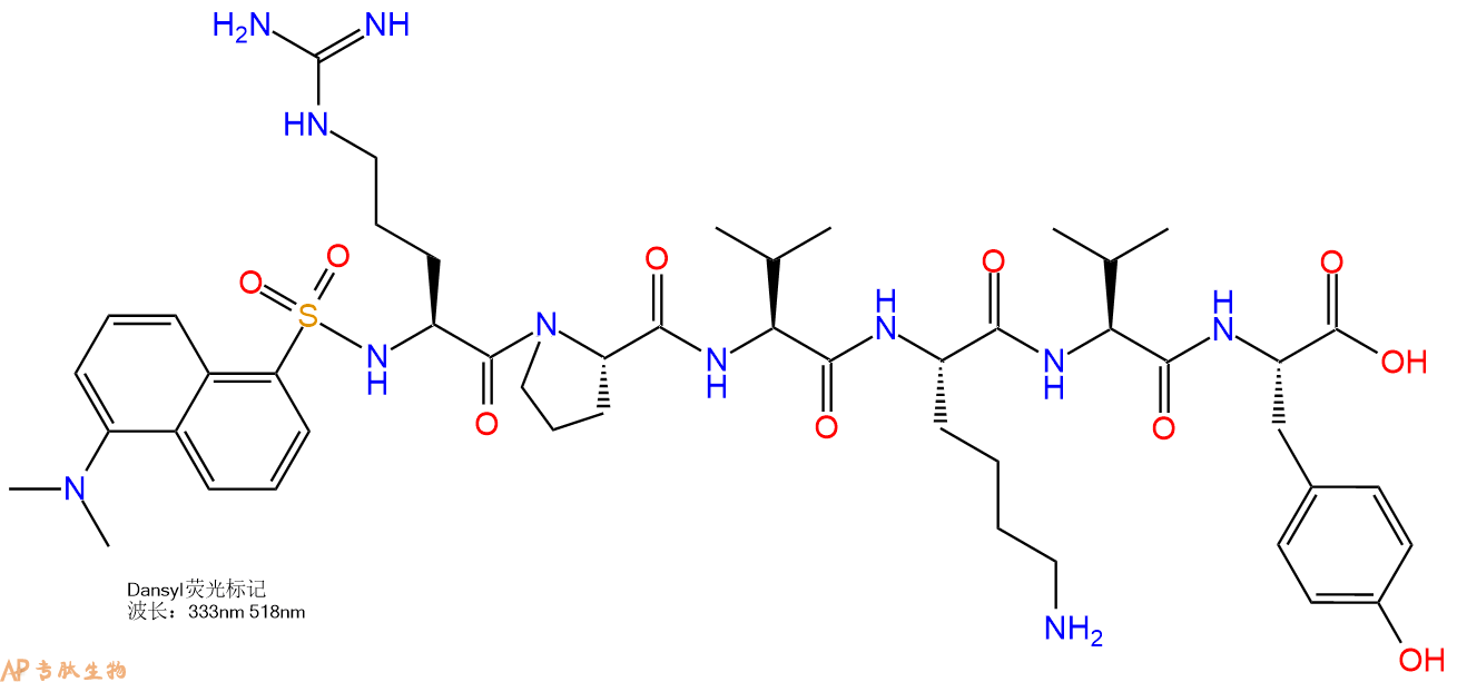 专肽生物产品Dansyl-Arg-Pro-Val-Lys-Val-Tyr-COOH