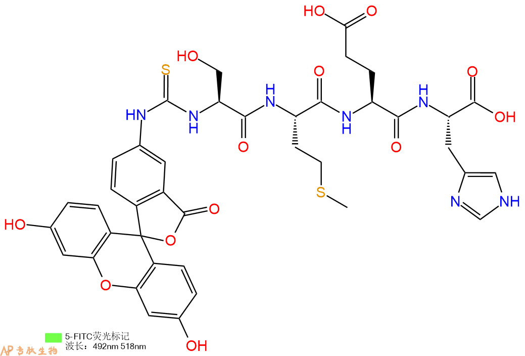 专肽生物产品5FITC-Ser-Met-Glu-His-COOH