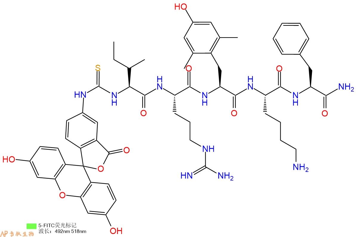 专肽生物产品5FITC-Ile-Arg-Dmt-Lys-Phe-NH2