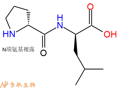 专肽生物产品H2N-DPro-DLeu-COOH