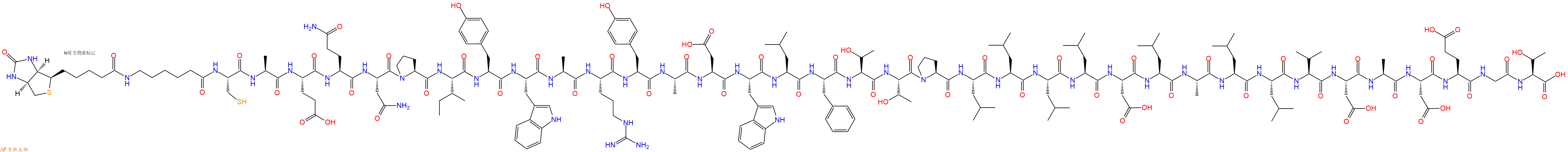 专肽生物产品Biotin-Ahx-Cys-Ala-Glu-Gln-Asn-Pro-Ile-Tyr-Trp-Ala-Arg-Tyr-Ala-Asp-Trp-Leu-Phe-Thr-Thr-Pro-Leu-Leu-Leu-Leu-Asp-Leu-Ala-Leu-Leu-Val-Asp-Ala-Asp-Glu-Gly-Thr-COOH