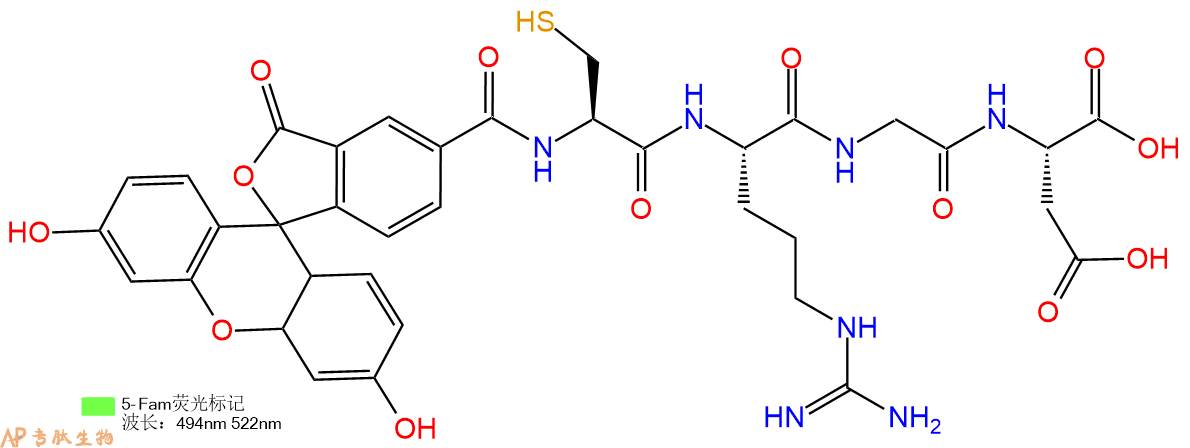 专肽生物产品5FAM-Cys-Arg-Gly-Asp-COOH