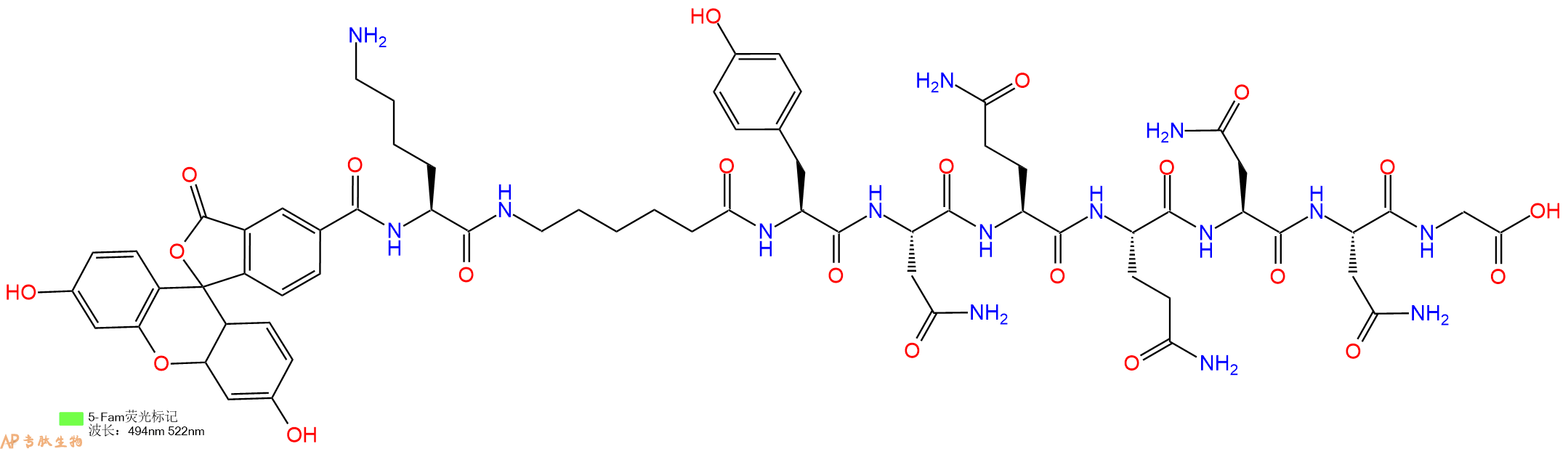 专肽生物产品5FAM-Lys-Ahx-Tyr-Asn-Gln-Gln-Asn-Asn-Gly-COOH