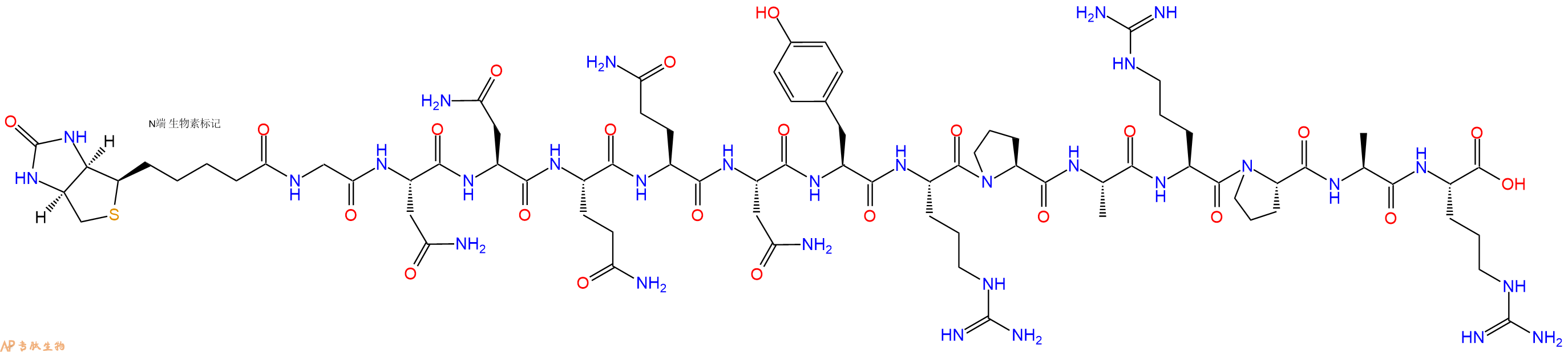专肽生物产品Biotin-Gly-Asn-Asn-Gln-Gln-Asn-Tyr-Arg-Pro-Ala-Arg-Pro-Ala-Arg-COOH