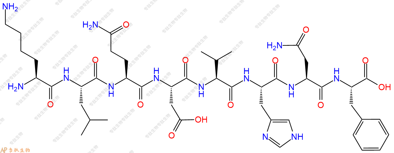 专肽生物产品H2N-Lys-Leu-Gln-Asp-Val-His-Asn-Phe-COOH