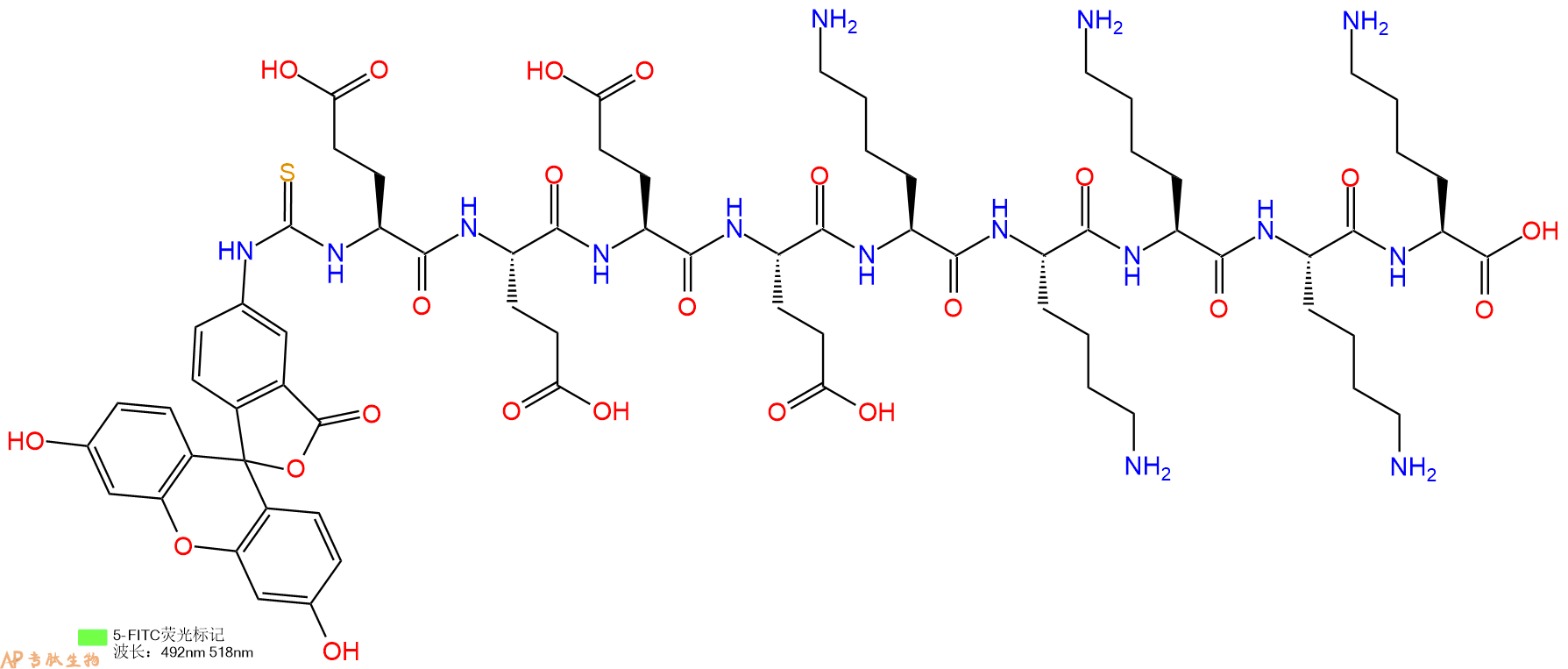 专肽生物产品5FITC-Glu-Glu-Glu-Glu-Lys-Lys-Lys-Lys-Lys-COOH