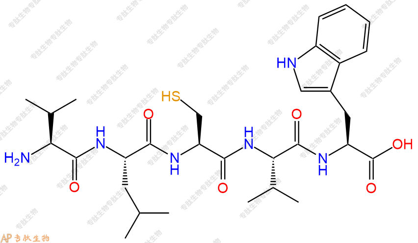 专肽生物产品H2N-Val-Leu-Cys-Val-Trp-COOH