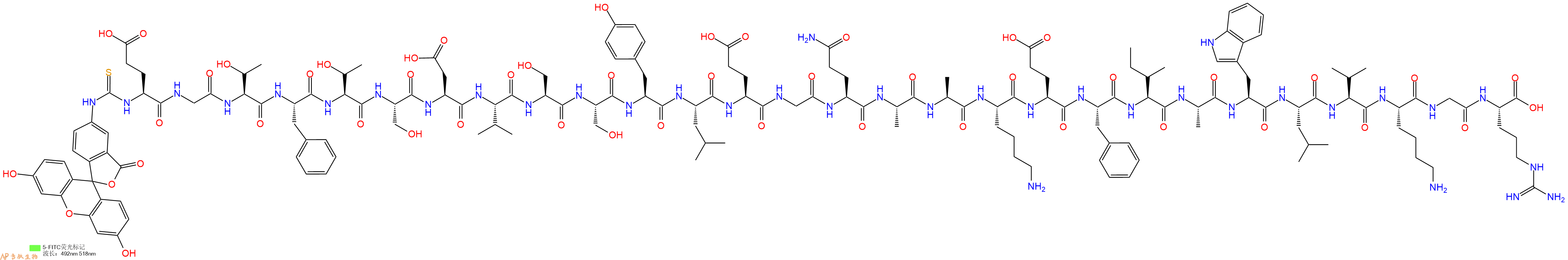 专肽生物产品5FITC-Glu-Gly-Thr-Phe-Thr-Ser-Asp-Val-Ser-Ser-Tyr-Leu-Glu-Gly-Gln-Ala-Ala-Lys-Glu-Phe-Ile-Ala-Trp-Leu-Val-Lys-Gly-Arg-COOH