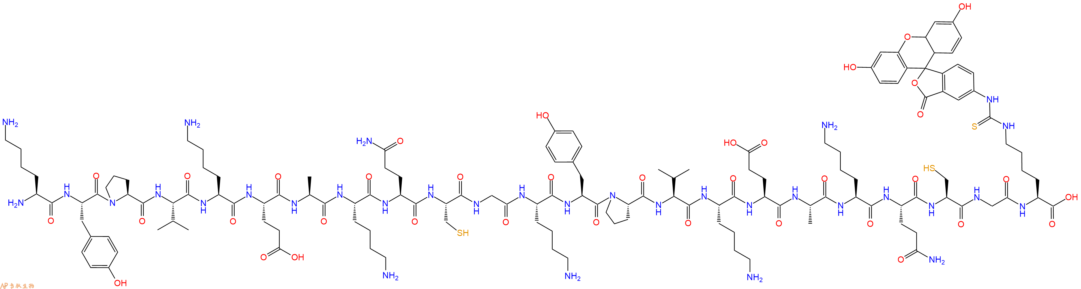 专肽生物产品H2N-Lys-Tyr-Pro-Val-Lys-Glu-Ala-Lys-Gln-Cys-Gly-Lys-Tyr-Pro-Val-Lys-Glu-Ala-Lys-Gln-Cys-Gly-Lys(Fitc)-COOH