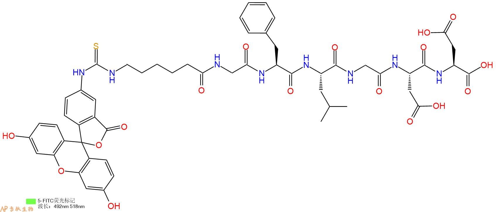 专肽生物产品5FITC-Ahx-Gly-Phe-Leu-Gly-Asp-Asp-COOH