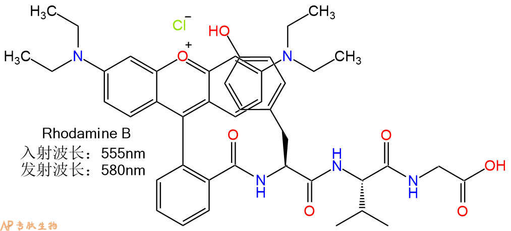 专肽生物产品RhodamineB-Tyr-Val-Gly-COOH