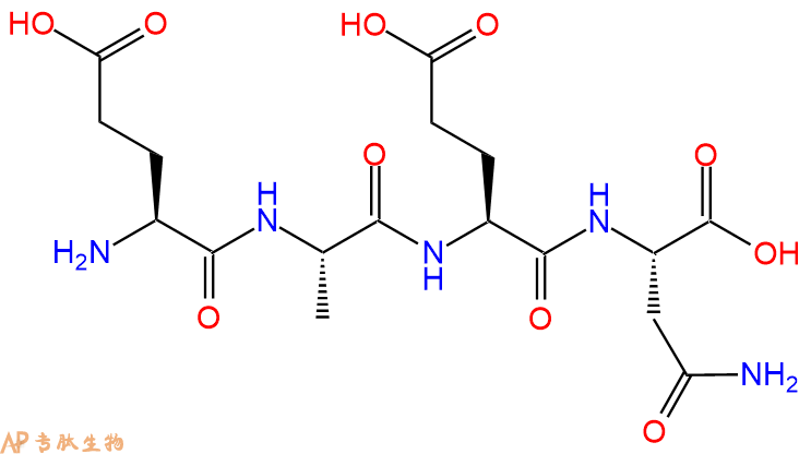 专肽生物产品H2N-Glu-Ala-Glu-Asn-COOH