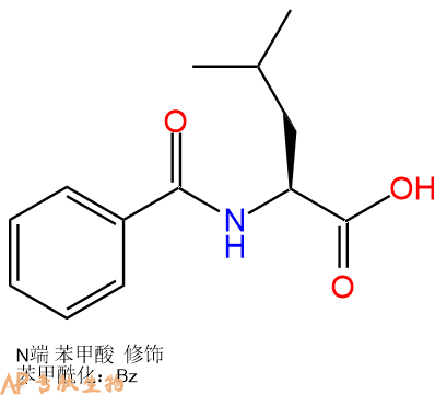 专肽生物产品Benzoyl-Leu-COOH