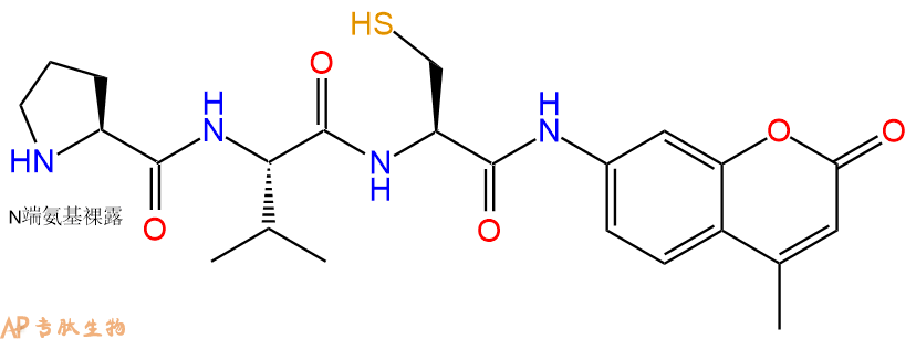 专肽生物产品H2N-Pro-Val-Cys-AMC