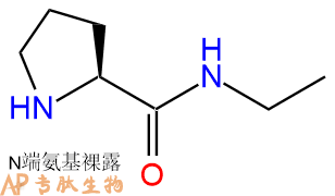 专肽生物产品H2N-Pro-NHEt