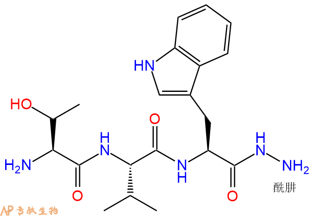专肽生物产品H2N-Thr-Val-Trp-NHNH2