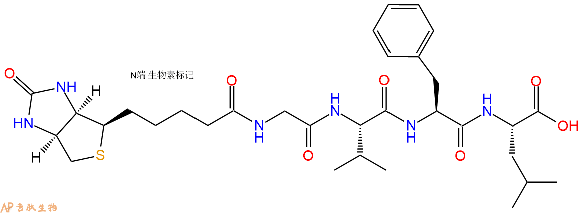 专肽生物产品Biotin-Gly-Val-Phe-Leu-COOH