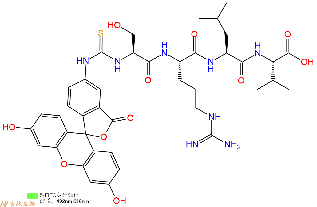 专肽生物产品5FITC-Ser-Arg-Leu-Val-COOH