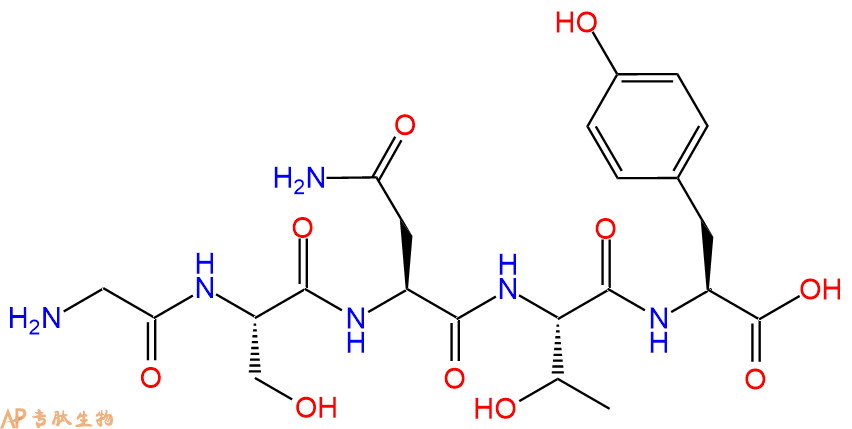 专肽生物产品H2N-Gly-Ser-Asn-Thr-Tyr-COOH