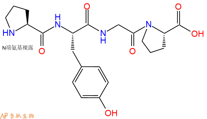 专肽生物产品H2N-Pro-Tyr-Gly-Pro-COOH