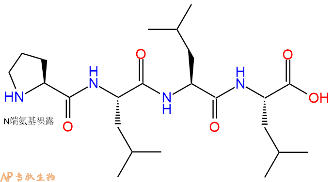 专肽生物产品H2N-Pro-Leu-Leu-Leu-COOH