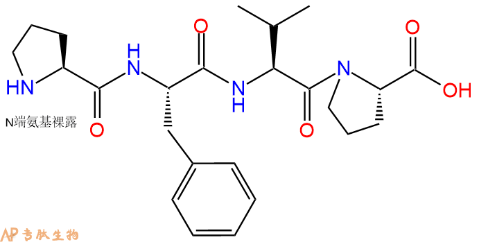 专肽生物产品H2N-Pro-Phe-Val-Pro-COOH
