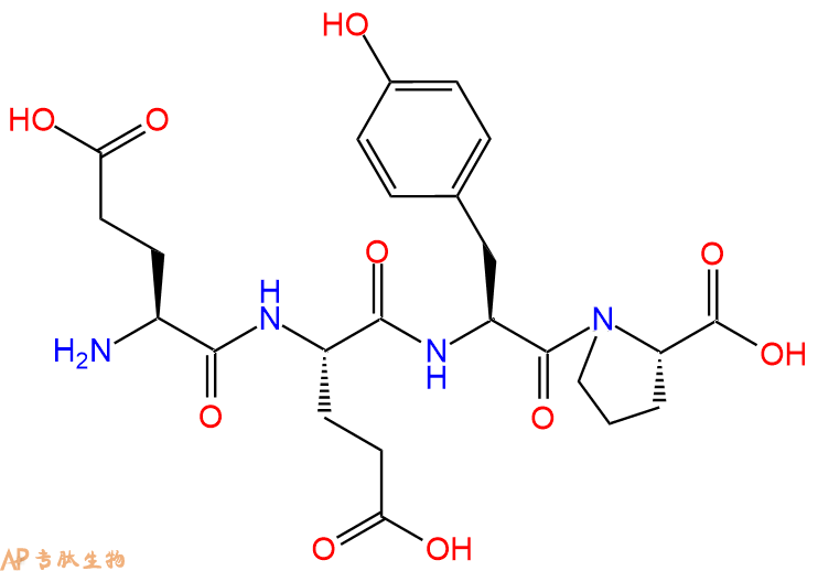专肽生物产品H2N-Glu-Glu-Tyr-Pro-COOH