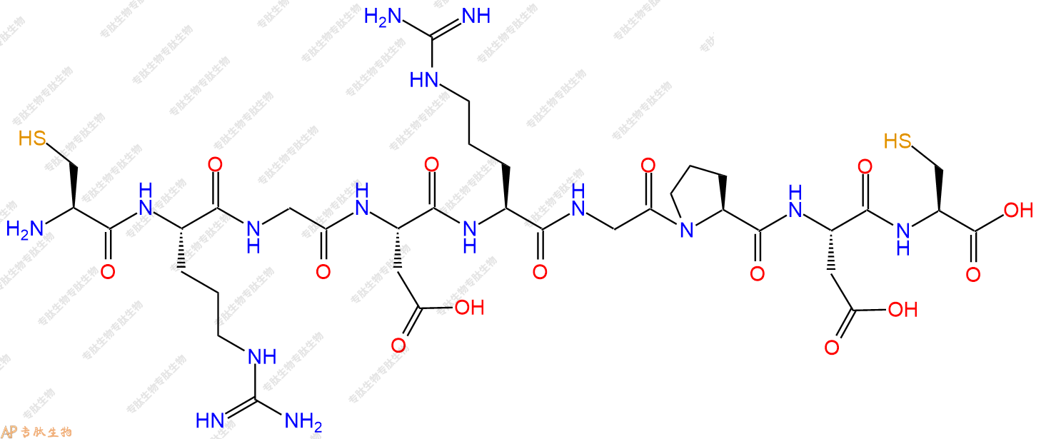 专肽生物产品H2N-Cys-Arg-Gly-Asp-Arg-Gly-Pro-Asp-Cys-COOH