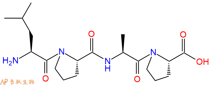专肽生物产品H2N-Leu-Pro-Ala-Pro-COOH
