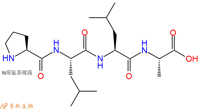 专肽生物产品H2N-Pro-Leu-Leu-Ala-COOH