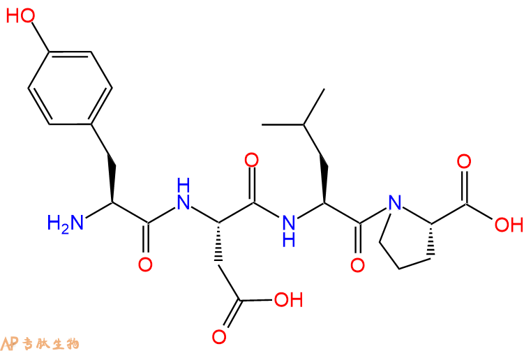 专肽生物产品H2N-Tyr-Asp-Leu-Pro-COOH