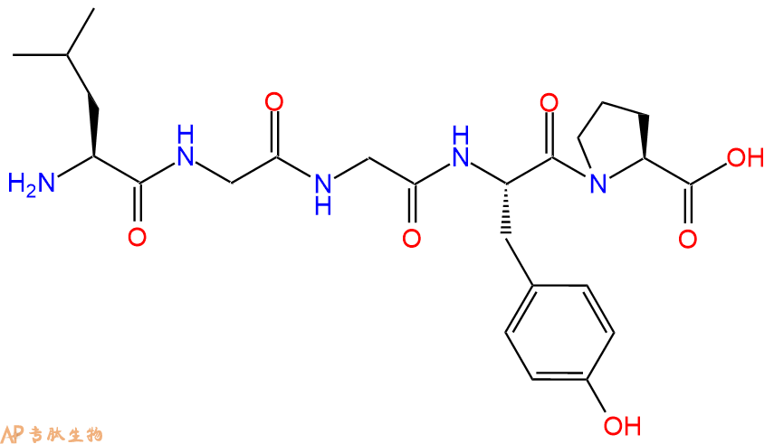 专肽生物产品H2N-Leu-Gly-Gly-Tyr-Pro-COOH