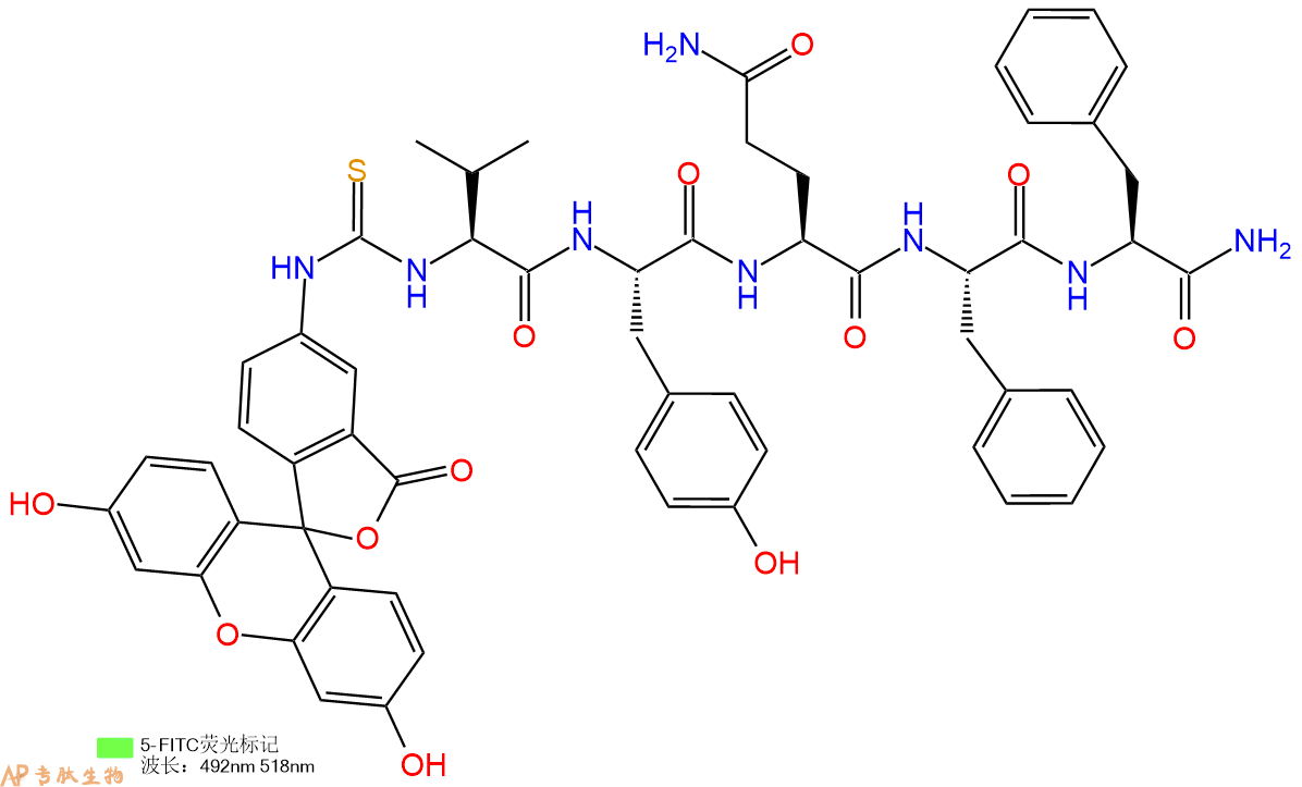 专肽生物产品5FITC-Val-Tyr-Gln-Phe-Phe-NH2
