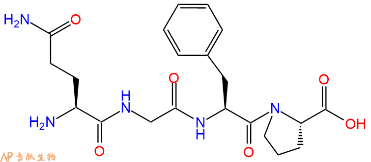 专肽生物产品H2N-Gln-Gly-Phe-Pro-COOH
