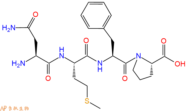 专肽生物产品H2N-Asn-Met-Phe-Pro-COOH