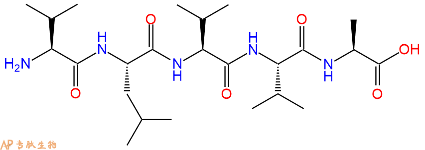 专肽生物产品H2N-Val-Leu-Val-Val-Ala-COOH