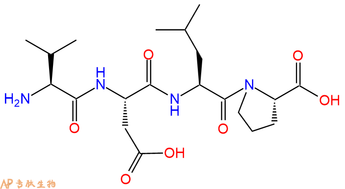 专肽生物产品H2N-Val-Asp-Leu-Pro-COOH