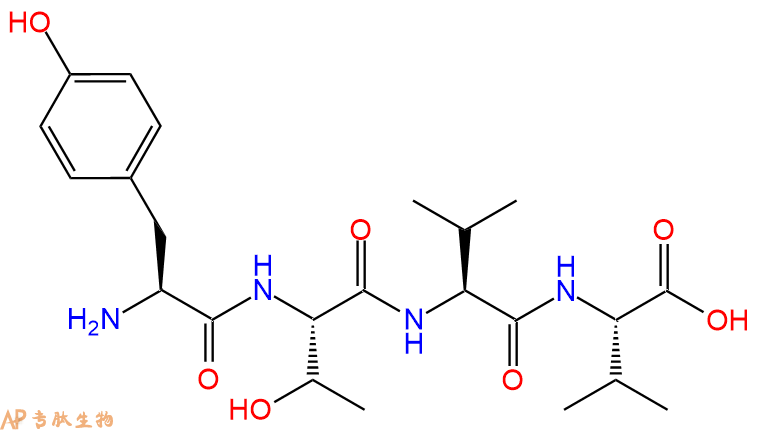 专肽生物产品H2N-Tyr-Thr-Val-Val-COOH