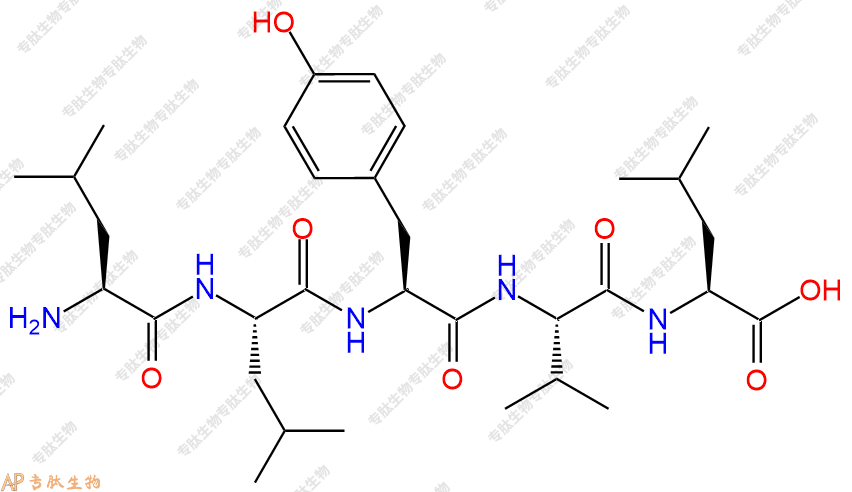 专肽生物产品H2N-Leu-Leu-Tyr-Val-Leu-COOH
