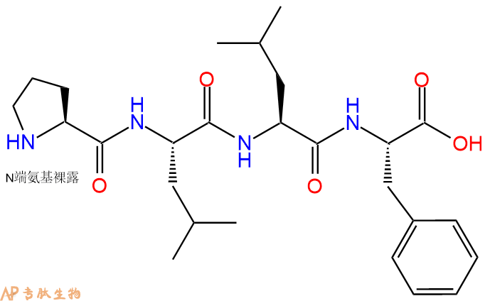 专肽生物产品H2N-Pro-Leu-Leu-Phe-COOH