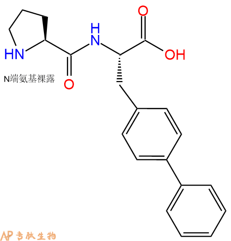 专肽生物产品H2N-Pro-Bip-COOH