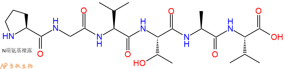 专肽生物产品H2N-Pro-Gly-Val-Thr-Ala-Val-COOH