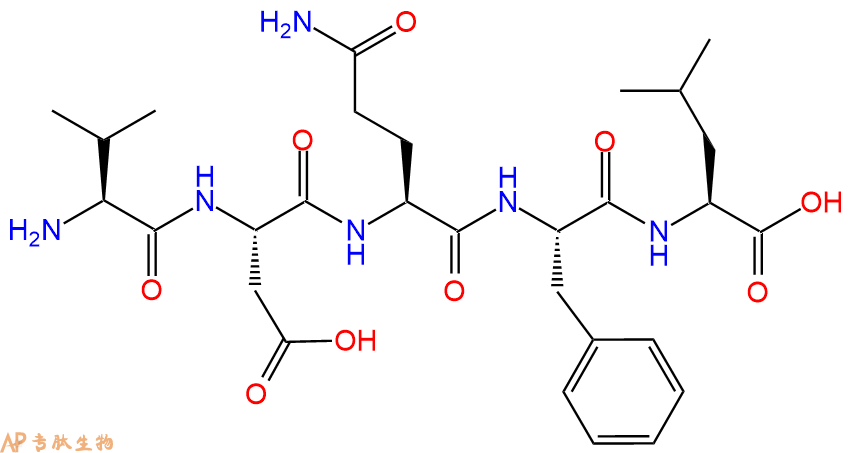 专肽生物产品H2N-Val-Asp-Gln-Phe-Leu-COOH