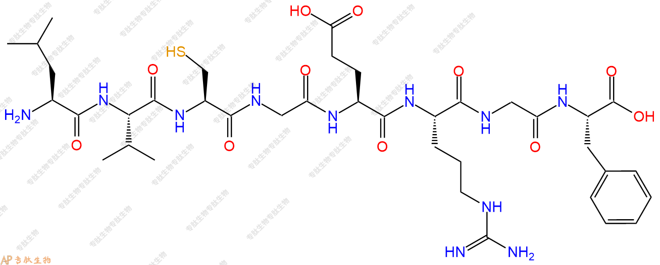 专肽生物产品H2N-Leu-Val-Cys-Gly-Glu-Arg-Gly-Phe-COOH