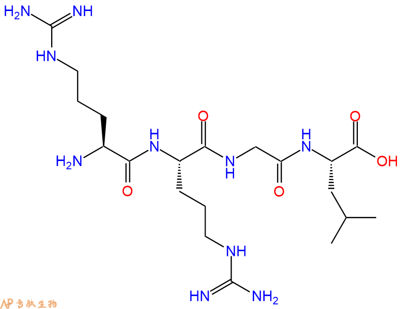 专肽生物产品H2N-Arg-Arg-Gly-Leu-COOH