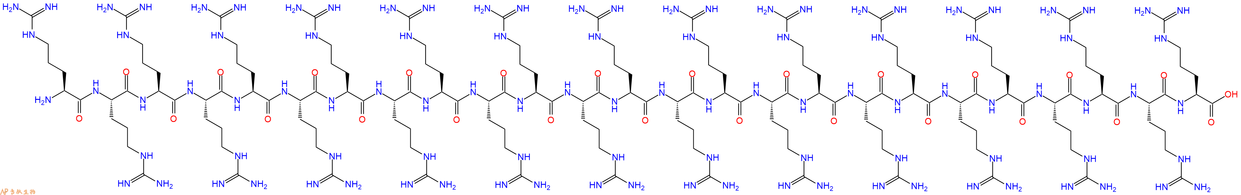 专肽生物产品H2N-Arg-Arg-Arg-Arg-Arg-Arg-Arg-Arg-Arg-Arg-Arg-Arg-Arg-Arg-Arg-Arg-Arg-Arg-Arg-Arg-Arg-Arg-Arg-Arg-Arg-COOH