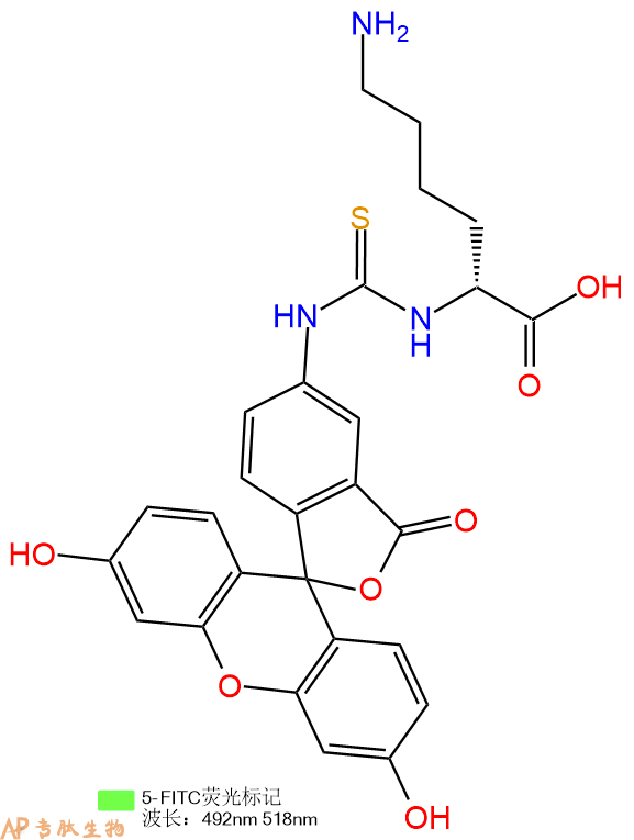 专肽生物产品5FITC-DLys-COOH