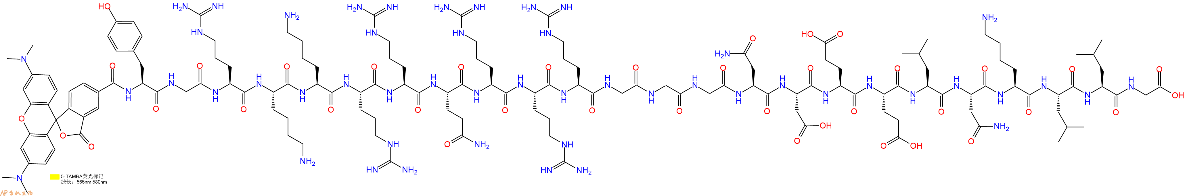 专肽生物产品5TAMRA-Tyr-Gly-Arg-Lys-Lys-Arg-Arg-Gln-Arg-Arg-Arg-Gly-Gly-Gly-Asn-Asp-Glu-Glu-Leu-Asn-Lys-Leu-Leu-Gly-COOH