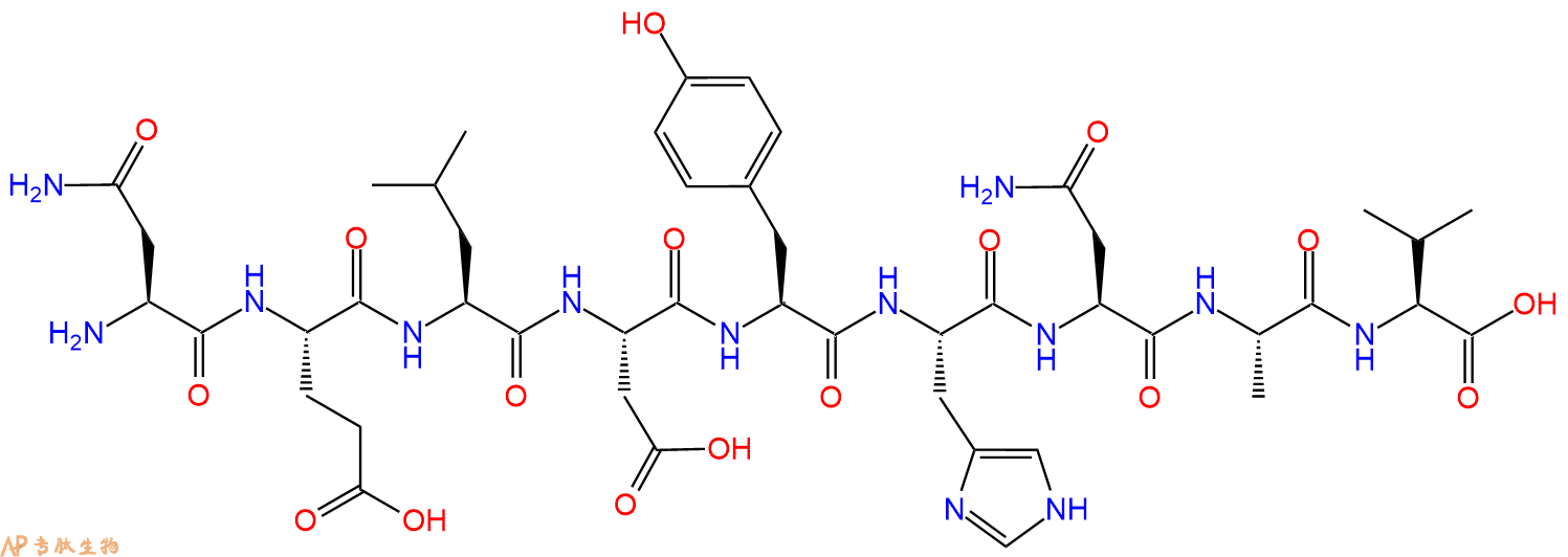 专肽生物产品H2N-Asn-Glu-Leu-Asp-Tyr-His-Asn-Ala-Val-COOH
