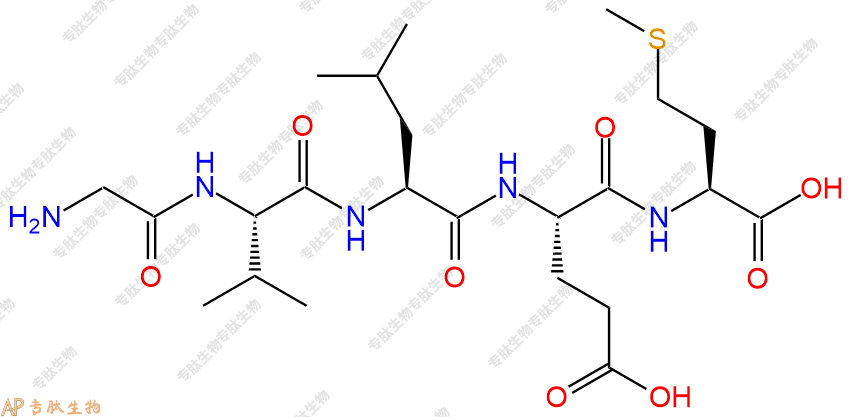 专肽生物产品H2N-Gly-Val-Leu-Glu-Met-COOH